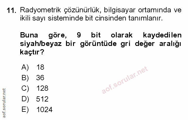 Soru 11