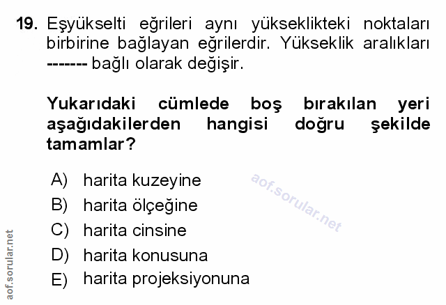 Soru 19