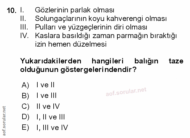 Soru 10