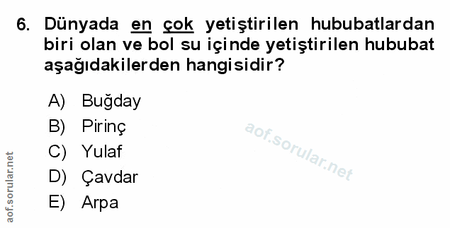 Soru 6