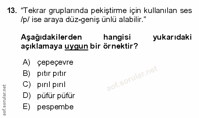 Soru 13