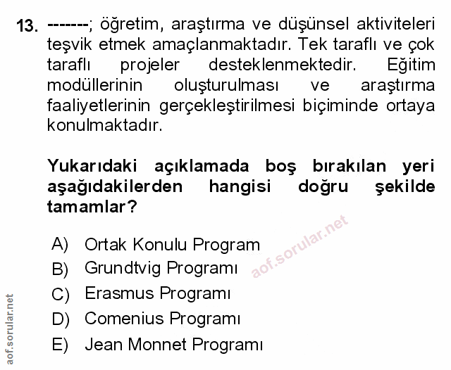 Soru 13