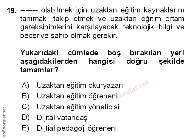 Soru 19
