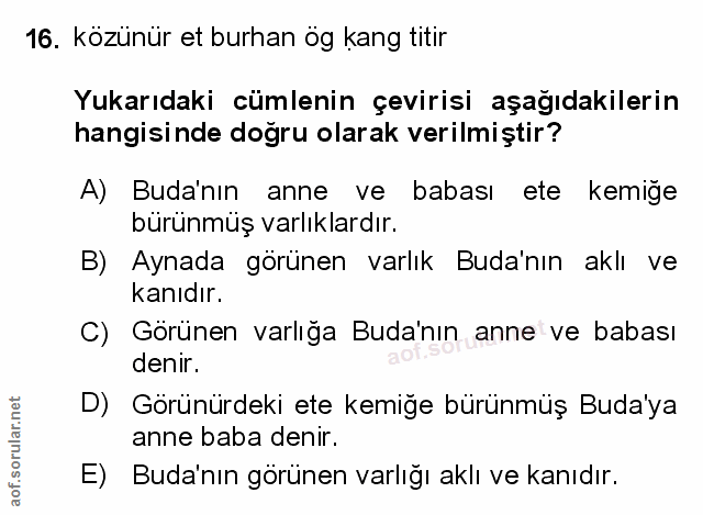 Soru 16