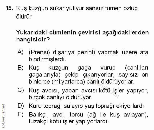 Soru 15