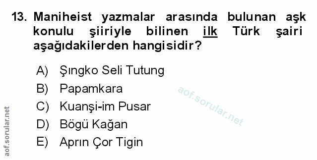 Soru 13