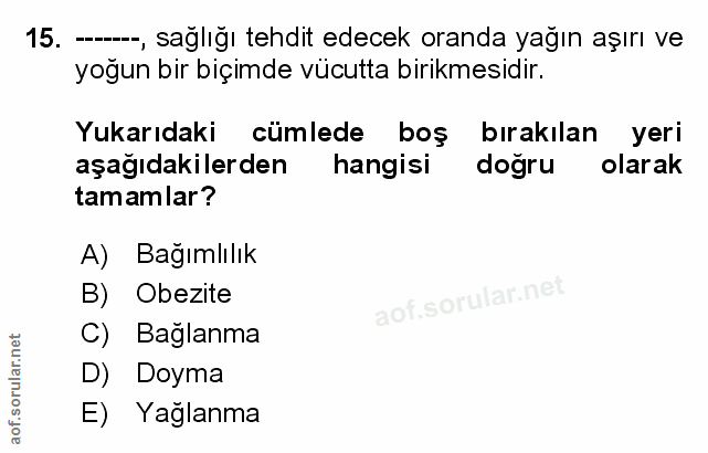 Soru 15