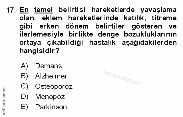 Soru 17