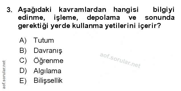 Soru 3