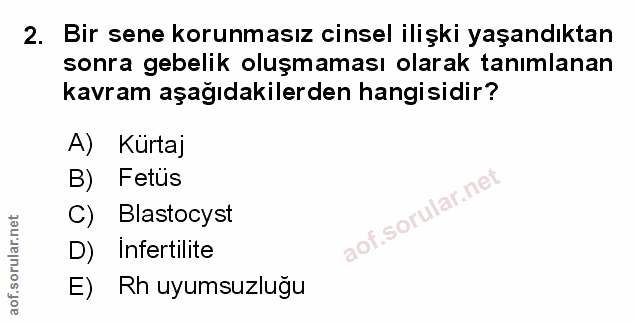 Soru 2