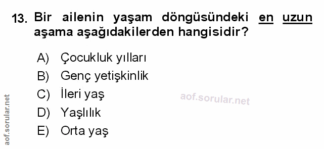 Soru 13