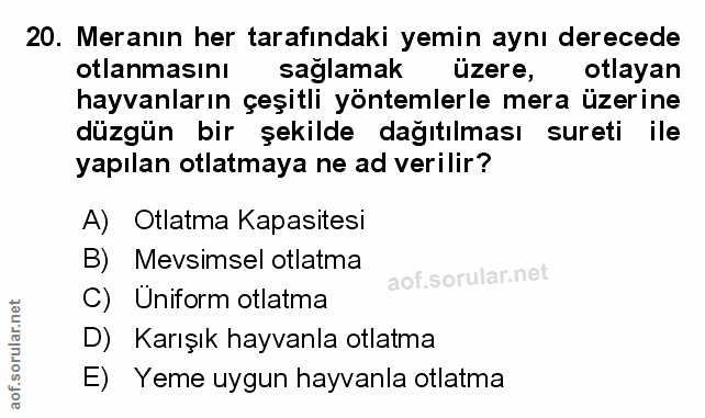 Soru 20
