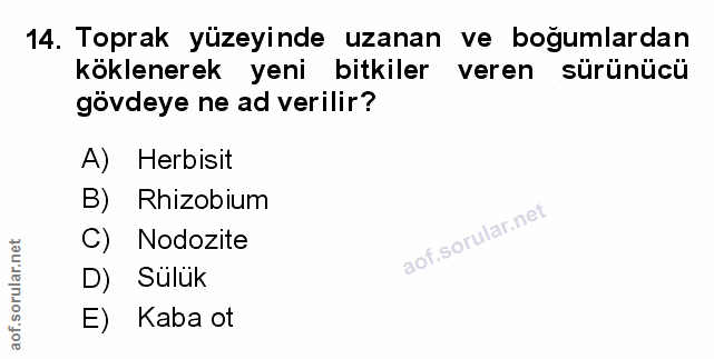 Soru 14