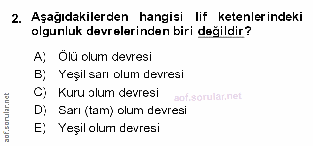 Soru 2