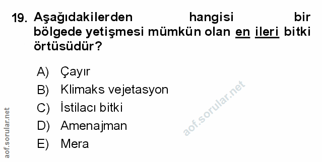 Soru 19