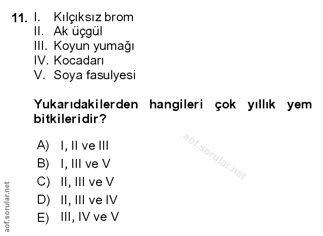 Soru 11