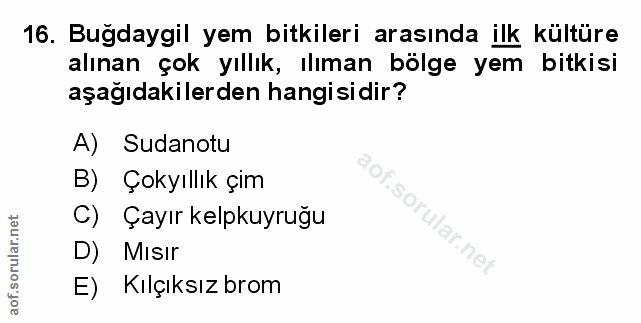 Soru 16