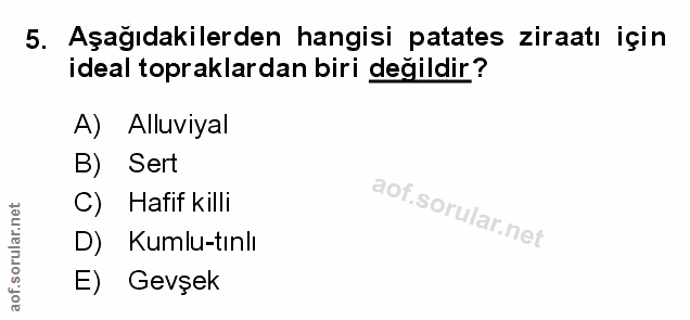 Soru 5