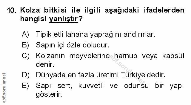 Soru 10