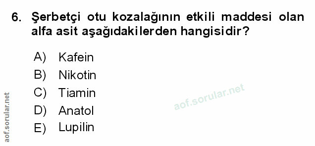 Soru 6