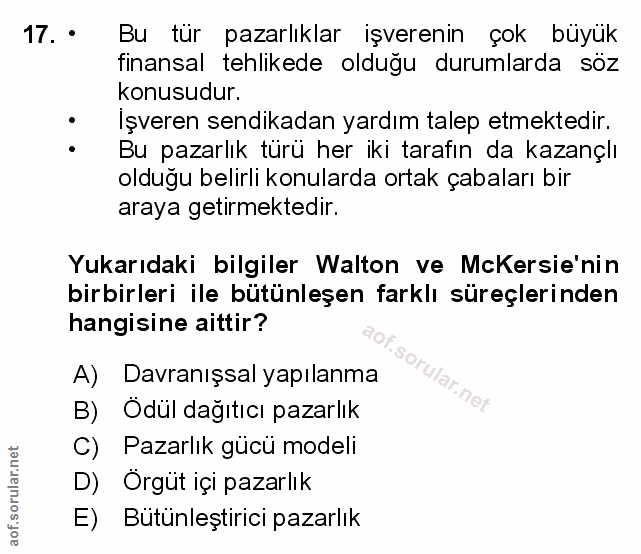 Soru 17