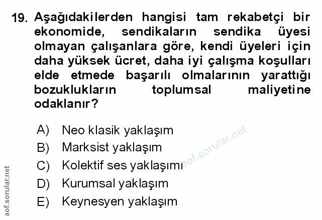 Soru 19