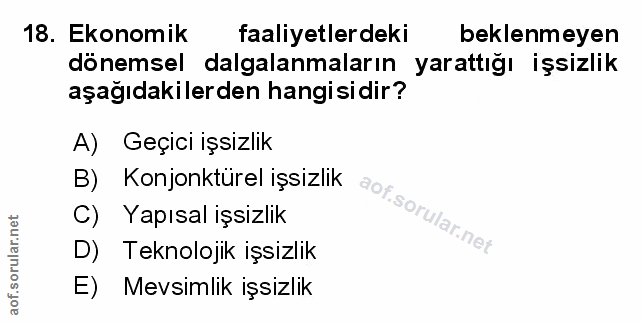 Soru 18