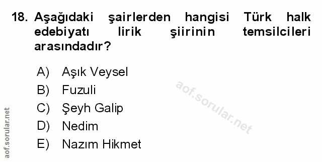 Soru 18