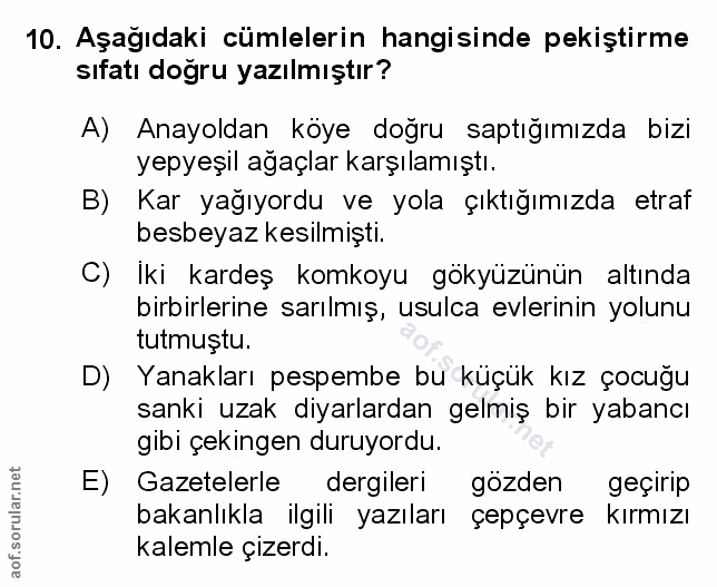Soru 10