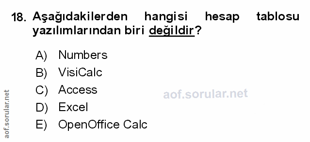 Soru 18