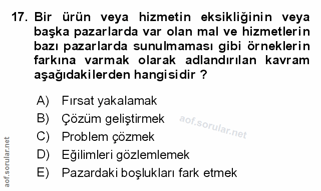Soru 17