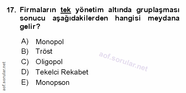 Soru 17