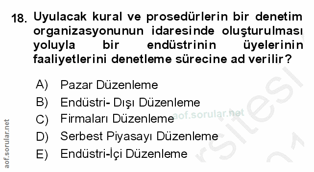 Soru 18