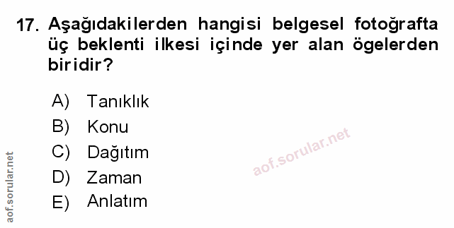 Soru 17