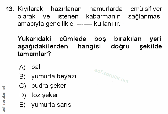 Soru 13