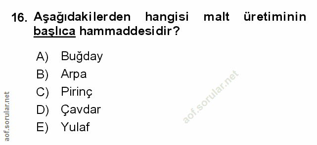 Soru 16