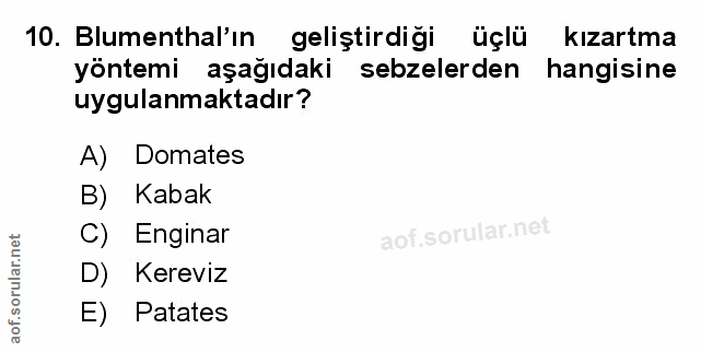 Soru 10
