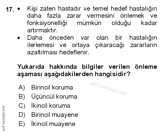 Soru 17