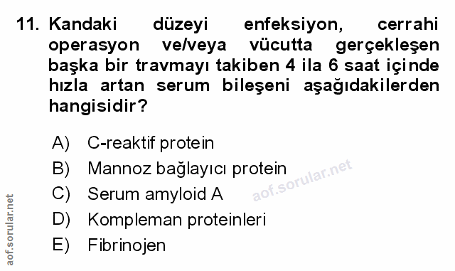 Soru 11