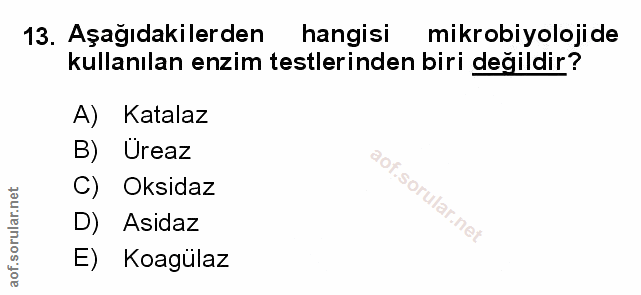 Soru 13