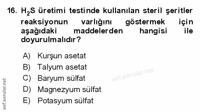 Soru 16