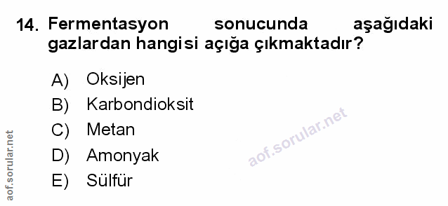 Soru 14