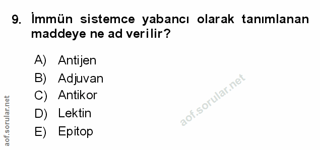 Soru 9