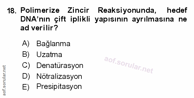 Soru 18