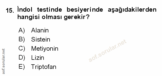 Soru 15
