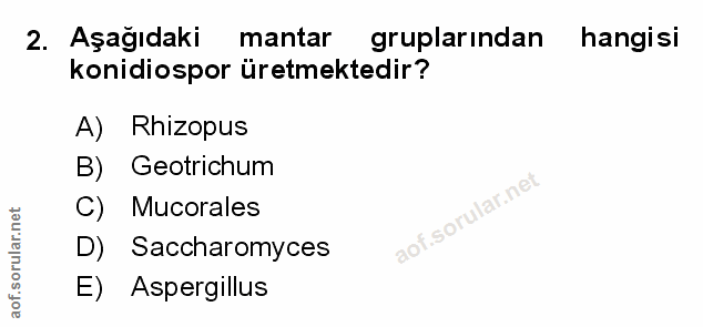 Soru 2