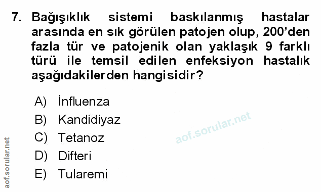 Soru 7