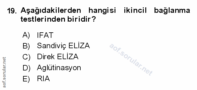 Soru 19