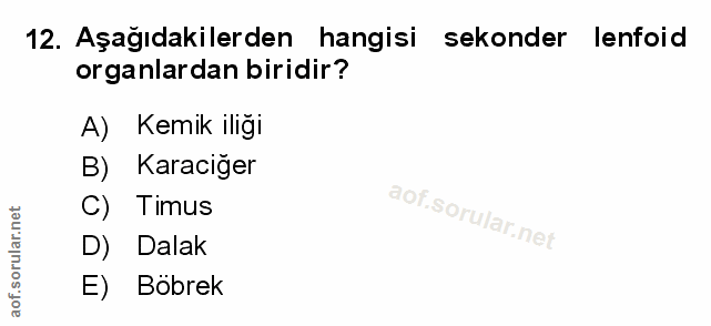 Soru 12