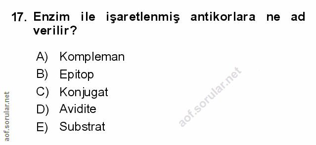 Soru 17